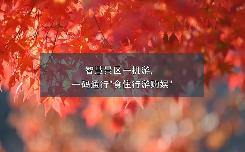 智慧景區(qū)一機(jī)游，一碼通行