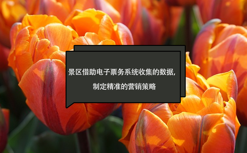 景區(qū)借助電子票務(wù)系統(tǒng)收集的數(shù)據(jù)，制定精準(zhǔn)的營銷策略