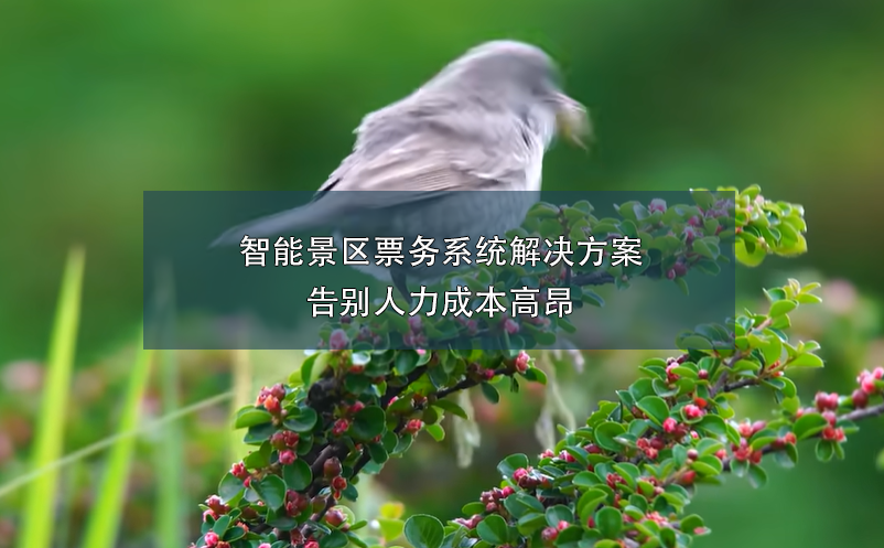 端午小長假，智能票務(wù)系統(tǒng)如何在確保游客體驗和提升景區(qū)的管理？