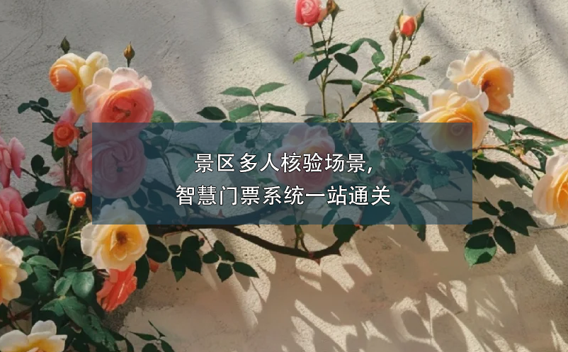 景區(qū)多人核驗(yàn)場景,智慧門票系統(tǒng)一站通關(guān)