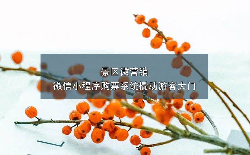 景區(qū)微營(yíng)銷：微信小程序購(gòu)票系統(tǒng)撬動(dòng)游客大門