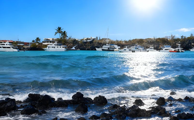 易景通簽約太平洋明珠航運(yùn)，西班牙語票務(wù)系統(tǒng)，開啟國際化新篇章